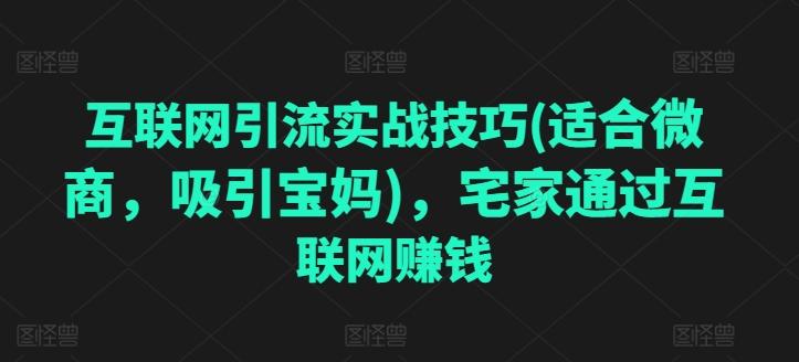 互联网引流实战技巧(适合微商，吸引宝妈)，宅家通过互联网赚钱-雲鼎文化传媒