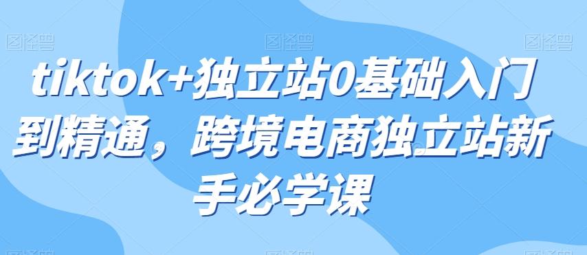 tiktok+独立站0基础入门到精通，跨境电商独立站新手必学课-雲鼎文化传媒