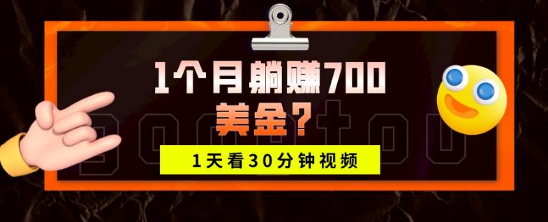 1天看30分钟视频，1个月躺赚700美金？-雲鼎文化传媒
