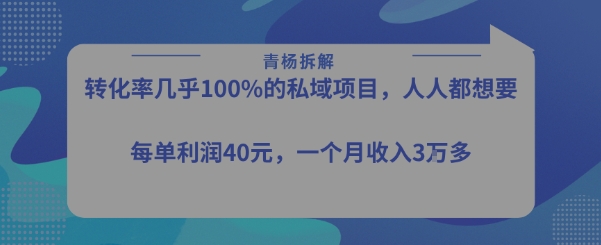 转化率最高的私域项目，每单利润40-50米，月入过1w-雲鼎文化传媒