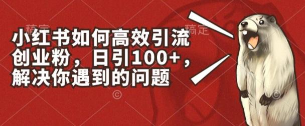 小红书如何高效引流创业粉，日引100+，解决你遇到的问题【揭秘】-雲鼎文化传媒
