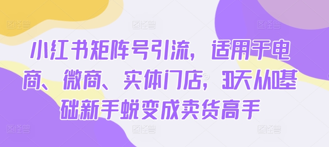 小红书矩阵号引流，适用于电商、微商、实体门店，30天从0基础新手蜕变成卖货高手-雲鼎文化传媒