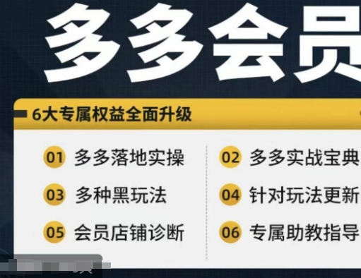 拼多多会员，拼多多实战宝典+实战落地实操，从新手到高阶内容全面覆盖-雲鼎文化传媒