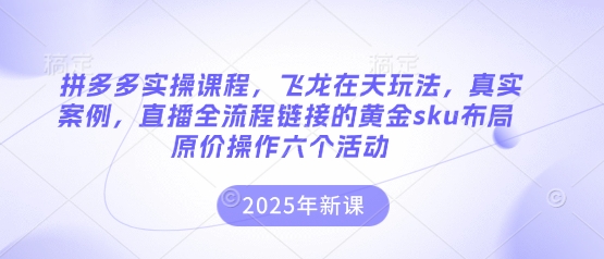 拼多多实操课程，飞龙在天玩法，真实案例，直播全流程链接的黄金sku布局原价操作六个活动-雲鼎文化传媒