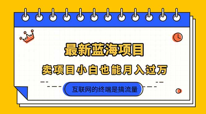 2025年最新蓝海项目，卖项目小白也能月入过万-雲鼎文化传媒