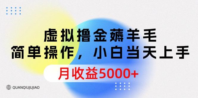 (9864期)虚拟撸金薅羊毛，简单操作，小白当天上手，月收益5000+-雲鼎文化传媒