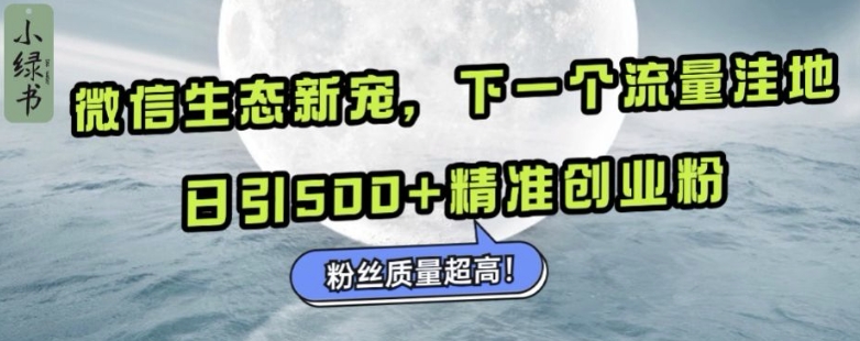微信生态新宠小绿书：下一个流量洼地，日引500+精准创业粉，粉丝质量超高-雲鼎文化传媒