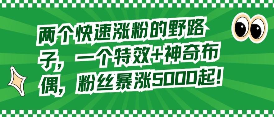 两个快速涨粉的野路子，一个特效+神奇布偶，粉丝暴涨5000起【揭秘】-雲鼎文化传媒