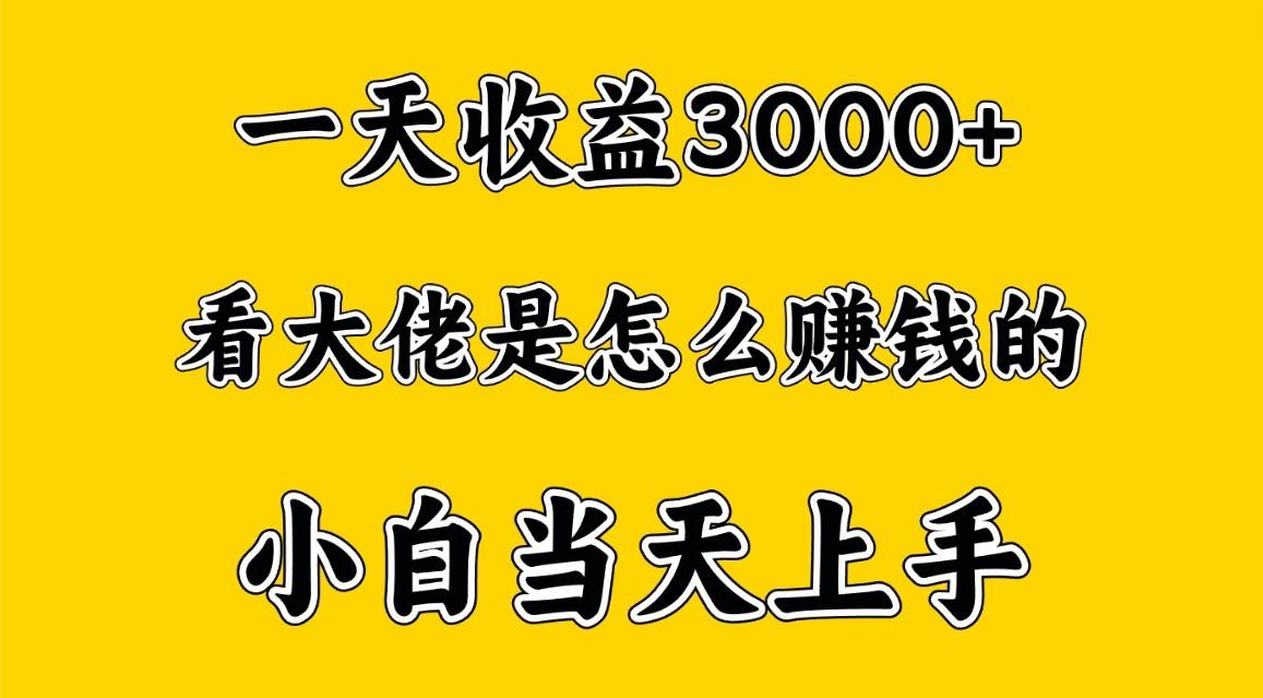 一天赚3000多，大佬是这样赚到钱的，小白当天上手，穷人翻身项目-雲鼎文化传媒