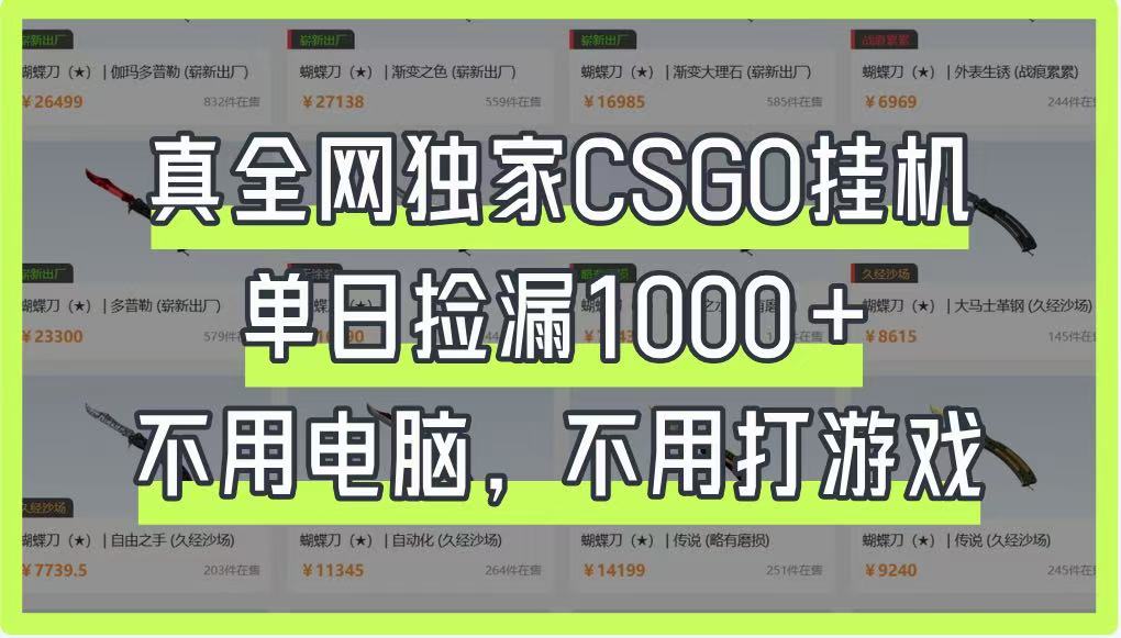 真全网独家CSGO挂机，单日捡漏1000+，不用电脑，不用养号-雲鼎文化传媒