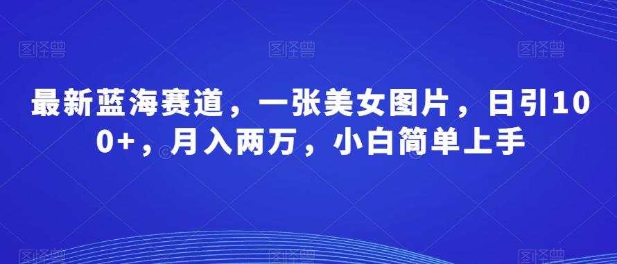 最新蓝海赛道，一张美女图片，日引100+，月入两万，小白简单上手-雲鼎文化传媒