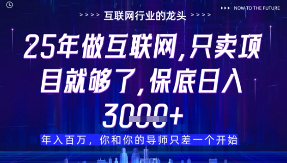 什么！25年你还在找项目做？风口早就变了，卖项目才是稳挣不赔【揭秘】-雲鼎文化传媒