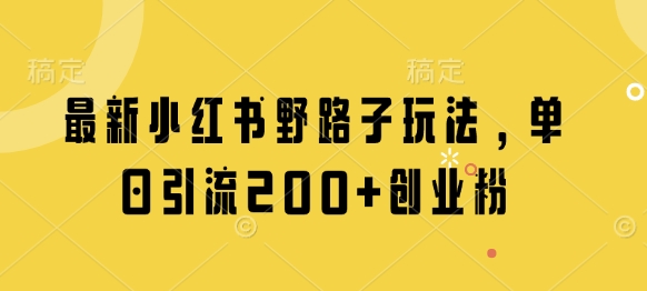 最新小红书野路子玩法，单日引流200+创业粉-雲鼎文化传媒