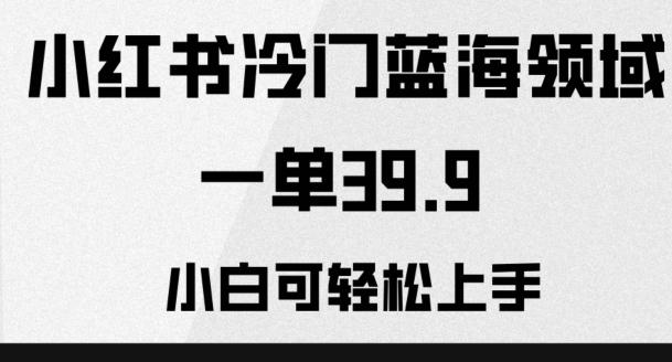 小红书冷门蓝海领域，一单39.9，小白可轻松上手-雲鼎文化传媒
