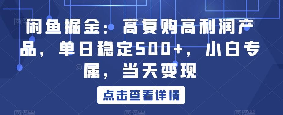 闲鱼掘金：高复购高利润产品，单日稳定500+，小白专属，当天变现-雲鼎文化传媒