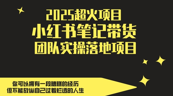 2025超火项目，副业最佳选择，小红书笔记带货团队实操落地项目，，轻松日入5张-雲鼎文化传媒