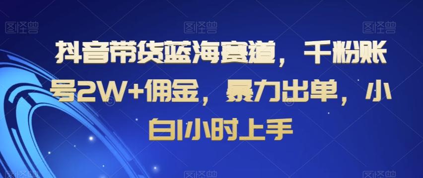 抖音带货蓝海赛道，千粉账号2W+佣金，暴力出单，小白1小时上手【揭秘】-雲鼎文化传媒