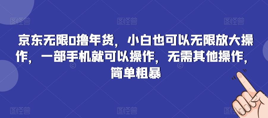 京东无限0撸年货，小白也可以无限放大操作，一部手机就可以操作，无需其他操作，简单粗暴-雲鼎文化传媒