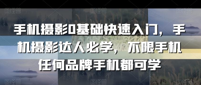手机摄影0基础快速入门，手机摄影达人必学，不限手机任何品牌手机都可学-雲鼎文化传媒
