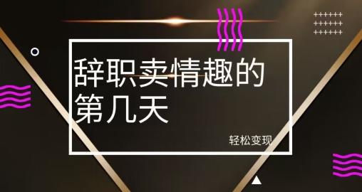 冷门赛道，辞职卖情趣的第几天，超暴力项目-雲鼎文化传媒