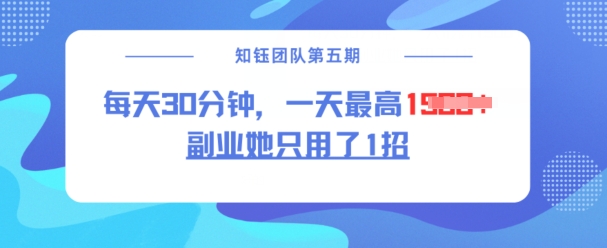 副业她只用了1招，每天30分钟，无脑二创，一天最高1.5k-雲鼎文化传媒
