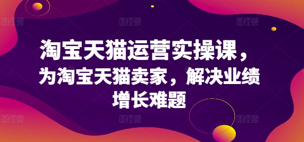 淘宝天猫运营实操课，为淘宝天猫卖家，解决业绩增长难题-雲鼎文化传媒