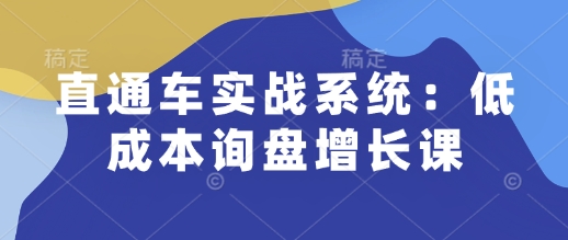 直通车实战系统：低成本询盘增长课，让个人通过技能实现升职加薪，让企业低成本获客，订单源源不断-雲鼎文化传媒