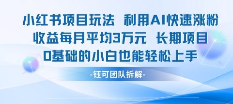 适合小白操作的小红书新项目，利用AI快速涨粉，收益每月平均1W+-雲鼎文化传媒