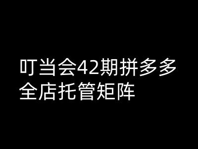 叮当会拼多多打爆班原创高阶技术第42期，拼多多全店托管矩阵-雲鼎文化传媒