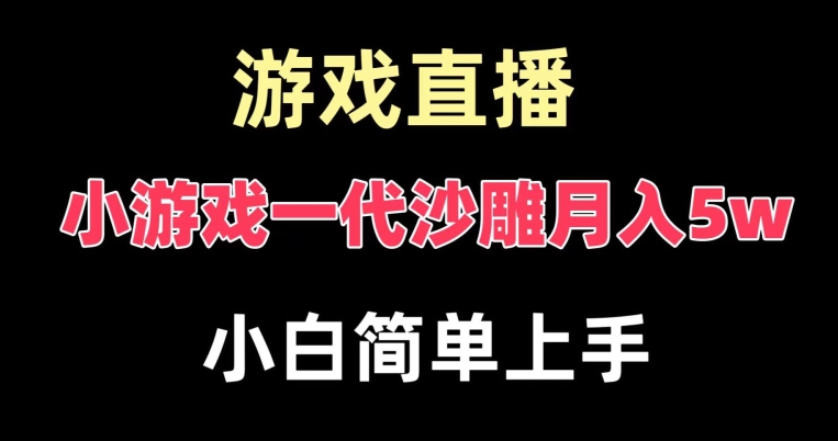 玩小游戏一代沙雕月入5w，爆裂变现，快速拿结果，高级保姆式教学【揭秘】-雲鼎文化传媒