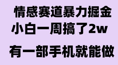 情感暴力掘金项目，新人操作一周挣了2W，长期稳定小白可做【揭秘】-雲鼎文化传媒