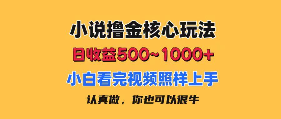 小说撸金核心玩法，日收益500-1000+，小白看完照样上手，0成本有手就行-雲鼎文化传媒