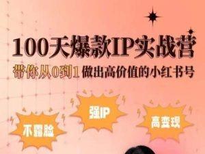 小红书100天爆款IP实战营，带你从0到1做出高价值的小红书号-雲鼎文化传媒