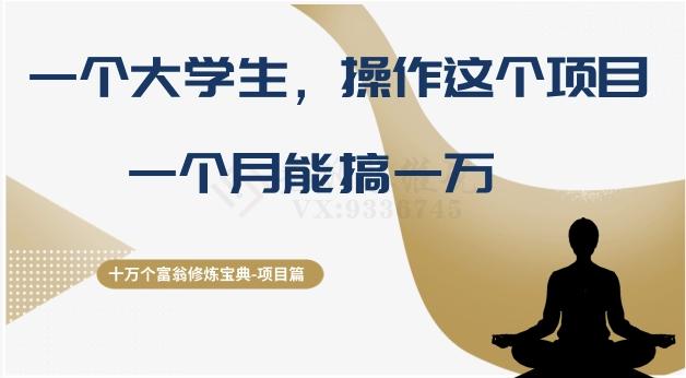 十万个富翁修炼宝典之4.一个大学生操作这个项目，一个月能搞一万-雲鼎文化传媒