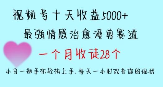 十天收益5000+，多平台捞金，视频号情感治愈漫剪，一个月收徒28个，小白一部手机轻松上手【揭秘】-雲鼎文化传媒