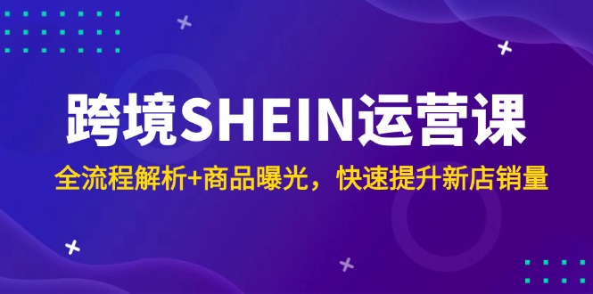 跨境SHEIN运营课，全流程解析+商品曝光，快速提升新店销量-雲鼎文化传媒