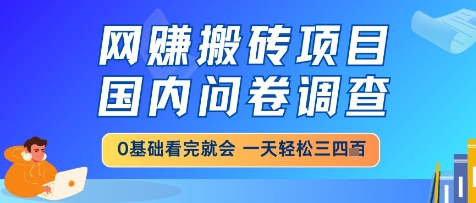 网创搬砖项目，国内问卷调查，小白轻松上手，一天三四张的也不难，干就完了【揭秘】-雲鼎文化传媒