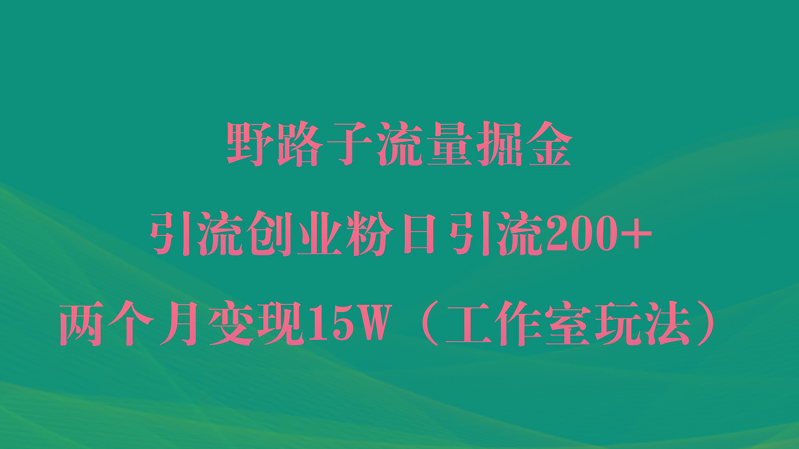 (9513期)野路子流量掘金，引流创业粉日引流200+，两个月变现15W(工作室玩法))-雲鼎文化传媒