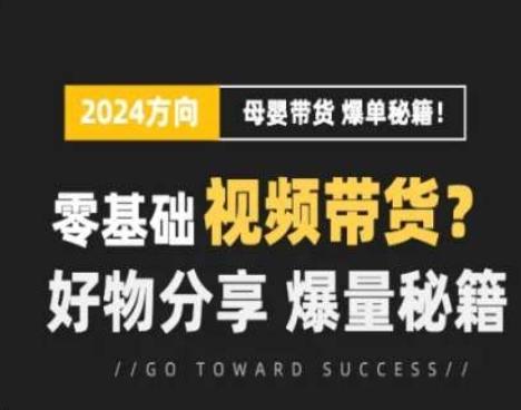 短视频母婴赛道实操流量训练营，零基础视频带货，好物分享，爆量秘籍-雲鼎文化传媒
