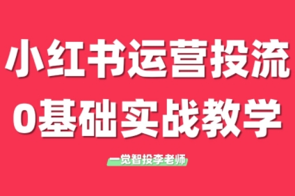 李老师·小红书运营投流，0基础实战教学(更新)-雲鼎文化传媒