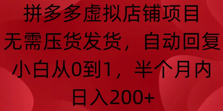 拼多多虚拟店铺项目，无需压货发货，自动回复，小白从0到1，半个月内日入200+【揭秘】-雲鼎文化传媒