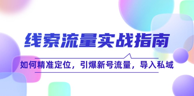 线 索 流 量-实战指南：如何精准定位，引爆新号流量，导入私域-雲鼎文化传媒
