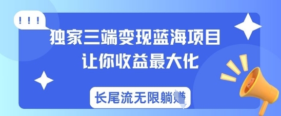 独家三端变现蓝海项目，让你收益最大化，长尾流无限躺挣-雲鼎文化传媒