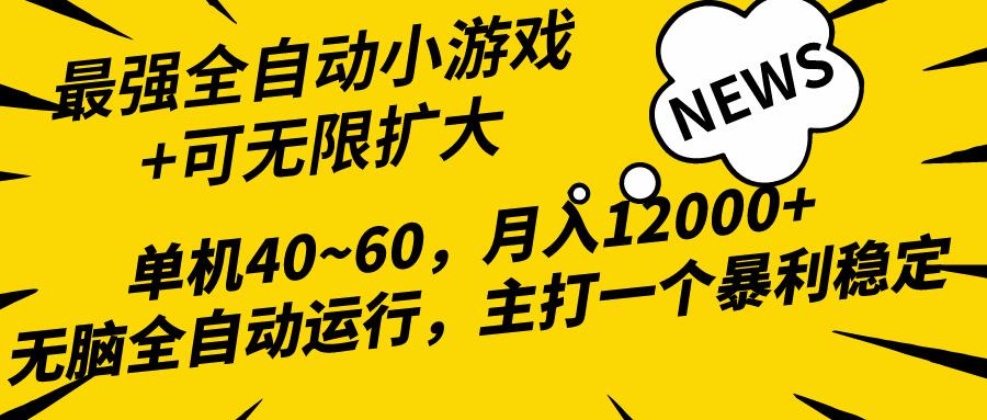 (10046期)2024最新全网独家小游戏全自动，单机40~60,稳定躺赚，小白都能月入过万-雲鼎文化传媒