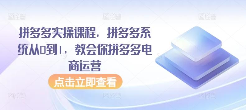 拼多多实操课程，拼多多系统从0到1，教会你拼多多电商运营-雲鼎文化传媒