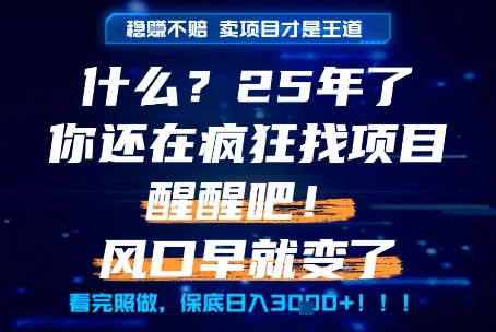什么？25年你还在疯狂找项目做，醒醒吧，看完这些你全都懂了！【揭秘】-雲鼎文化传媒