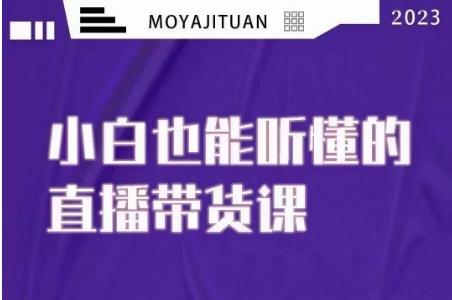 大威本威·能听懂的直播带货课，小白也能听懂，20节完整-雲鼎文化传媒