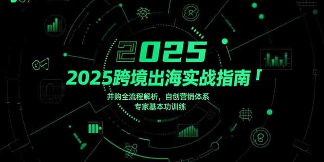 2025跨境出海实战指南，并购全流程解析，自创营销体系，专家基本功训练-雲鼎文化传媒