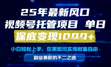 25年最新风口，视频号托管项目，单日保底变现1k+，手把手教学【揭秘】-雲鼎文化传媒