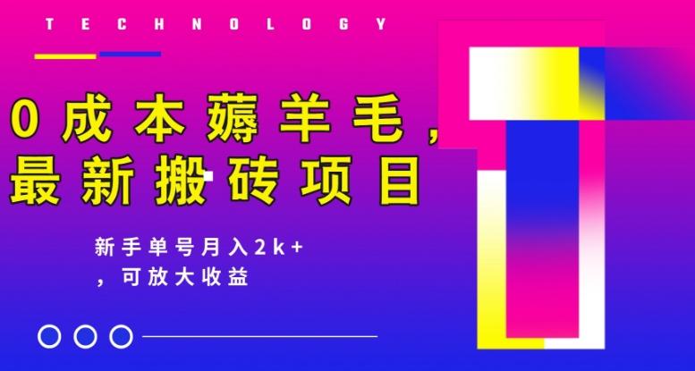 0成本薅羊毛，最新搬砖项目，新手单号月入2k+，可放大操作-雲鼎文化传媒